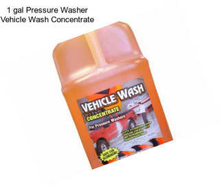 1 gal Pressure Washer Vehicle Wash Concentrate