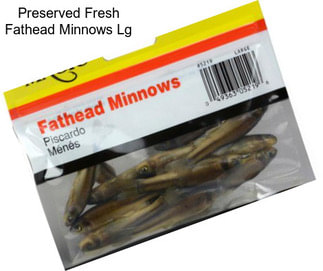 Preserved Fresh Fathead Minnows Lg