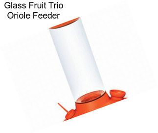 Glass Fruit Trio Oriole Feeder