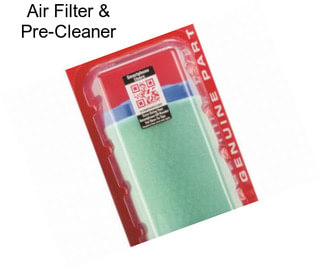 Air Filter & Pre-Cleaner