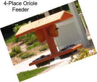 4-Place Oriole Feeder