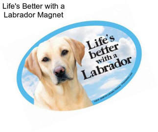 Life\'s Better with a Labrador Magnet