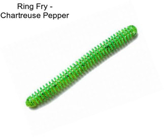 Ring Fry - Chartreuse Pepper