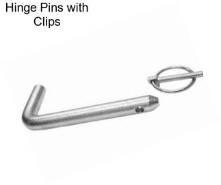 Hinge Pins with Clips