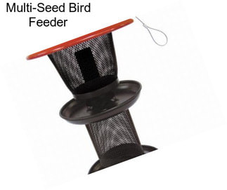 Multi-Seed Bird Feeder