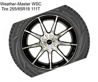 Weather-Master WSC Tire 255/65R18 111T