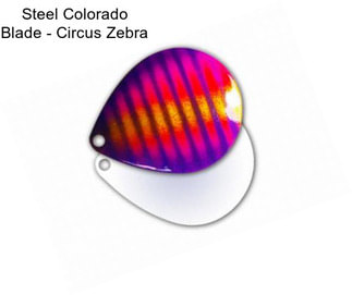 Steel Colorado Blade - Circus Zebra
