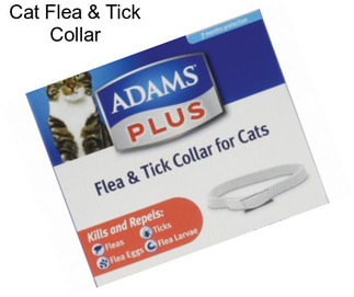 Cat Flea & Tick Collar