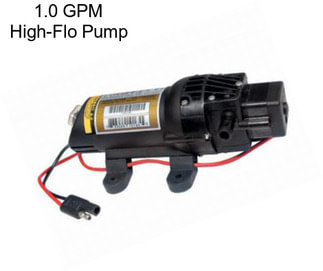1.0 GPM High-Flo Pump