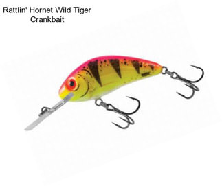 Rattlin\' Hornet Wild Tiger Crankbait