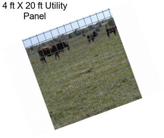 4 ft X 20 ft Utility Panel