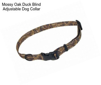 Mossy Oak Duck Blind Adjustable Dog Collar