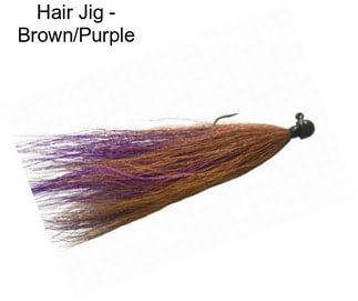 Hair Jig - Brown/Purple