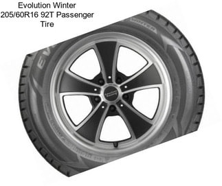 Evolution Winter 205/60R16 92T Passenger Tire