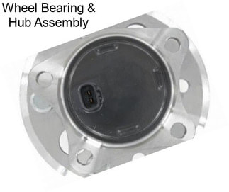 Wheel Bearing & Hub Assembly