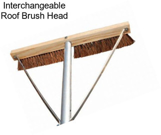 Interchangeable Roof Brush Head