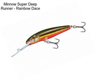 Minnow Super Deep Runner - Rainbow Dace