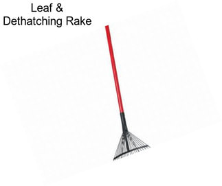 Leaf & Dethatching Rake