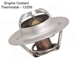Engine Coolant Thermostat - 13359