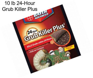 10 lb 24-Hour Grub Killer Plus