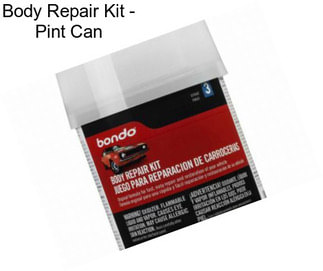 Body Repair Kit - Pint Can