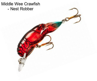 Middle Wee Crawfish - Nest Robber