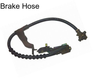 Brake Hose