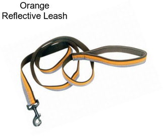 Orange Reflective Leash