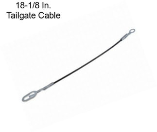 18-1/8 In. Tailgate Cable