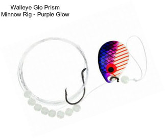 Walleye Glo Prism Minnow Rig - Purple Glow