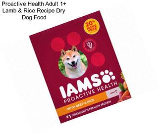 Proactive Health Adult 1+ Lamb & Rice Recipe Dry Dog Food