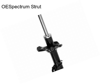 OESpectrum Strut