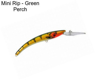 Mini Rip - Green Perch