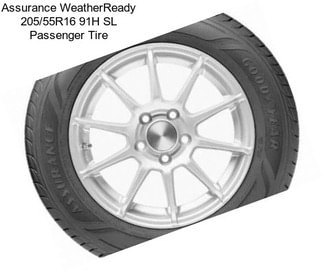 Assurance WeatherReady 205/55R16 91H SL Passenger Tire