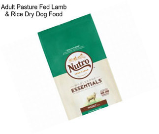 Adult Pasture Fed Lamb & Rice Dry Dog Food