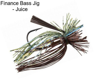 Finance Bass Jig - Juice