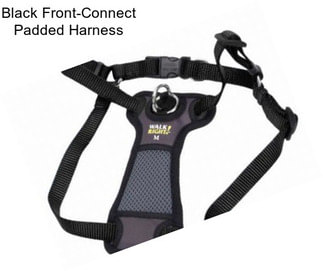Black Front-Connect Padded Harness