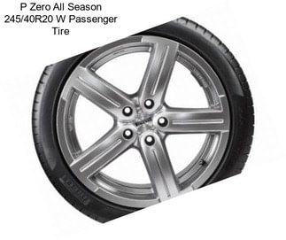 P Zero All Season 245/40R20 W Passenger Tire