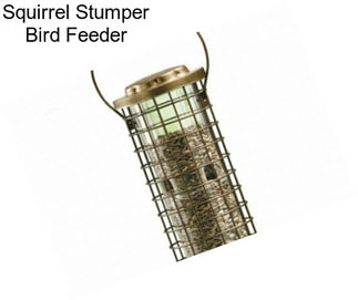 Squirrel Stumper Bird Feeder
