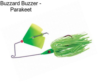 Buzzard Buzzer - Parakeet