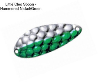 Little Cleo Spoon - Hammered Nickel/Green
