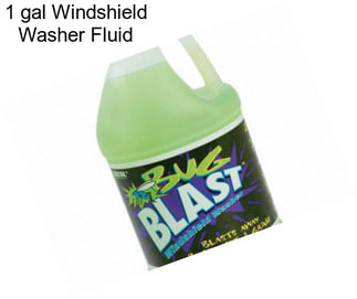 1 gal Windshield Washer Fluid