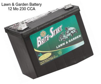 Lawn & Garden Battery 12 Mo 230 CCA