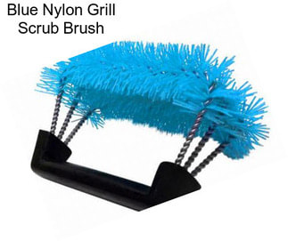 Blue Nylon Grill Scrub Brush