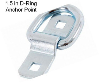 1.5 in D-Ring Anchor Point