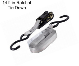 14 ft in Ratchet Tie Down