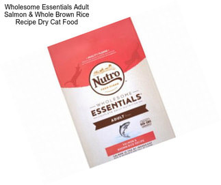 Wholesome Essentials Adult Salmon & Whole Brown Rice Recipe Dry Cat Food