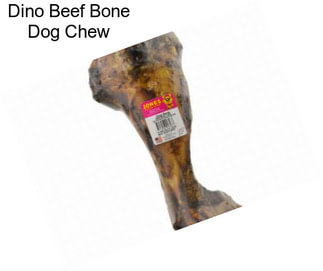 Dino Beef Bone Dog Chew