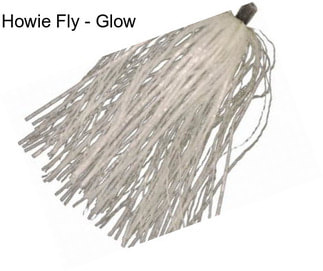 Howie Fly - Glow
