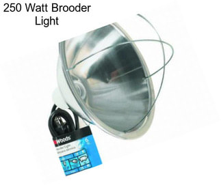 250 Watt Brooder Light